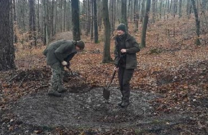 Leśnicy z Lidzbarka uwidocznili tajemnicze kręgi, znajdujące się w tamtejszym lesie.