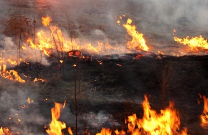 {Nieuwaga i bezmyślność omal nie doprowadziła do tragedii. Mężczyzna, który opalał izolację z miedzianych przewodów zaprószył ogień na łące.}